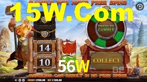 VIP Casino 56W